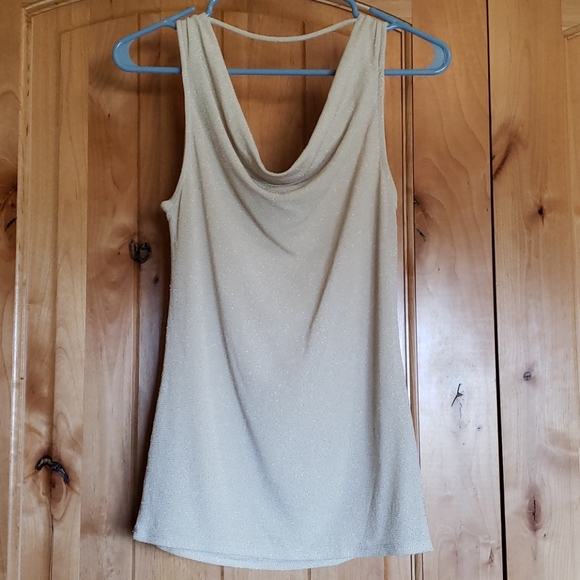 New Beautiful sleeveless top with sparkling material - NWOT - Picture 2 of 3
